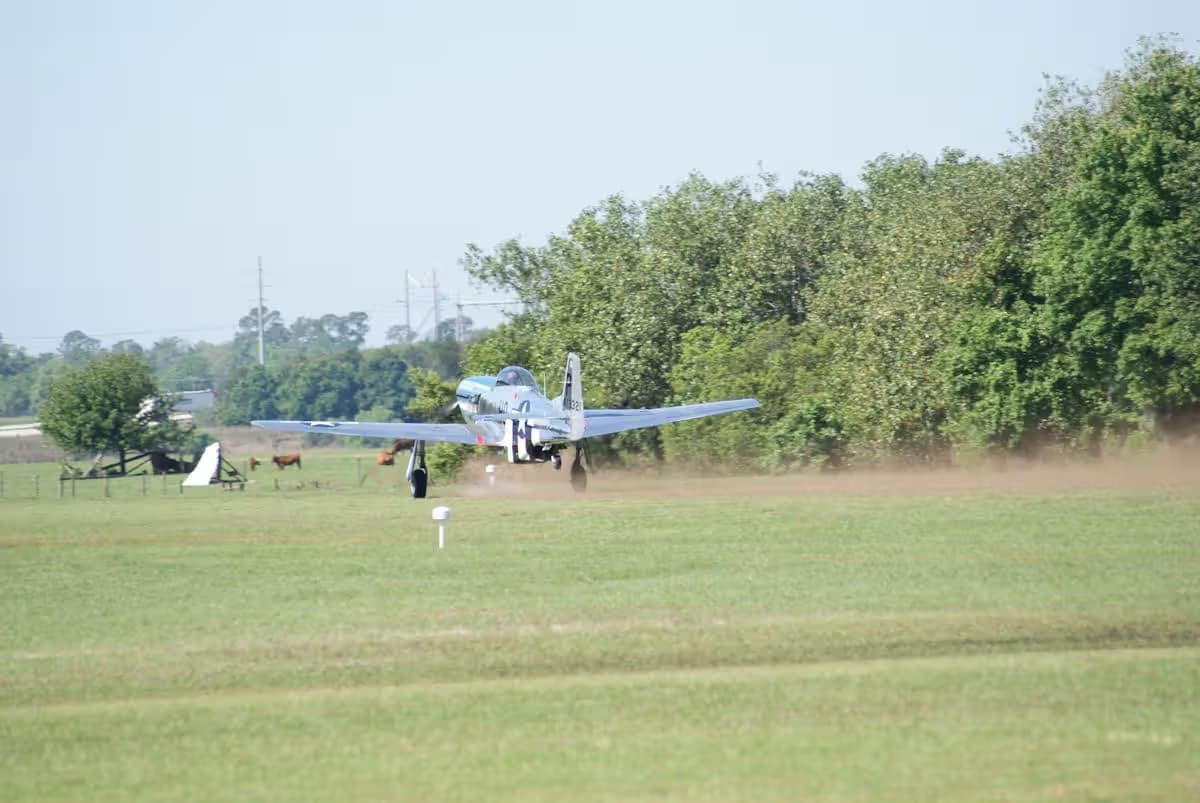 Unidentified — Warbird
