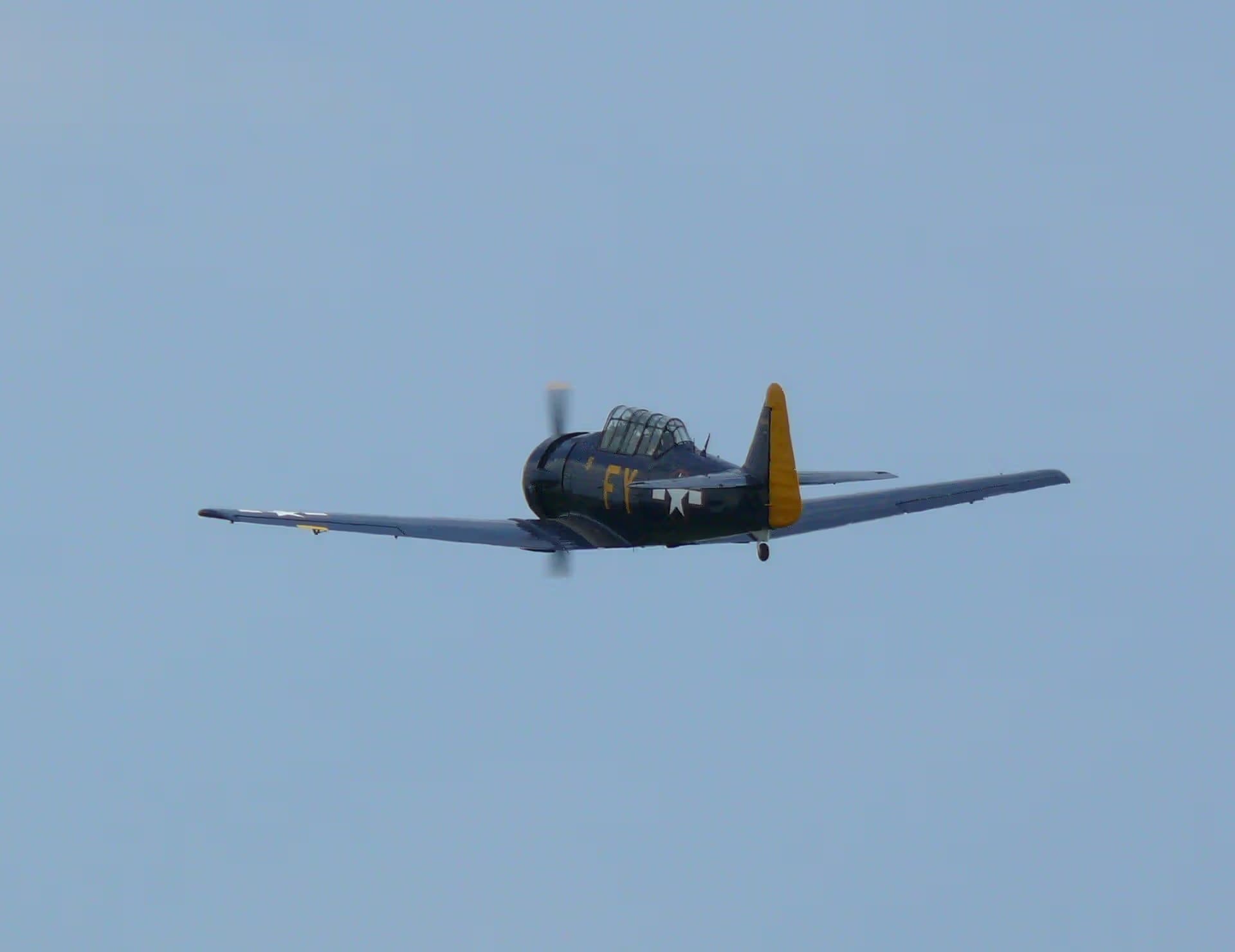 N13FY — Warbird