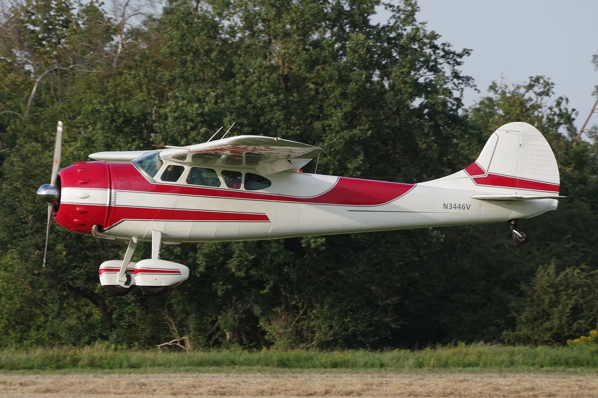 N3446V — Single-engine aircraft