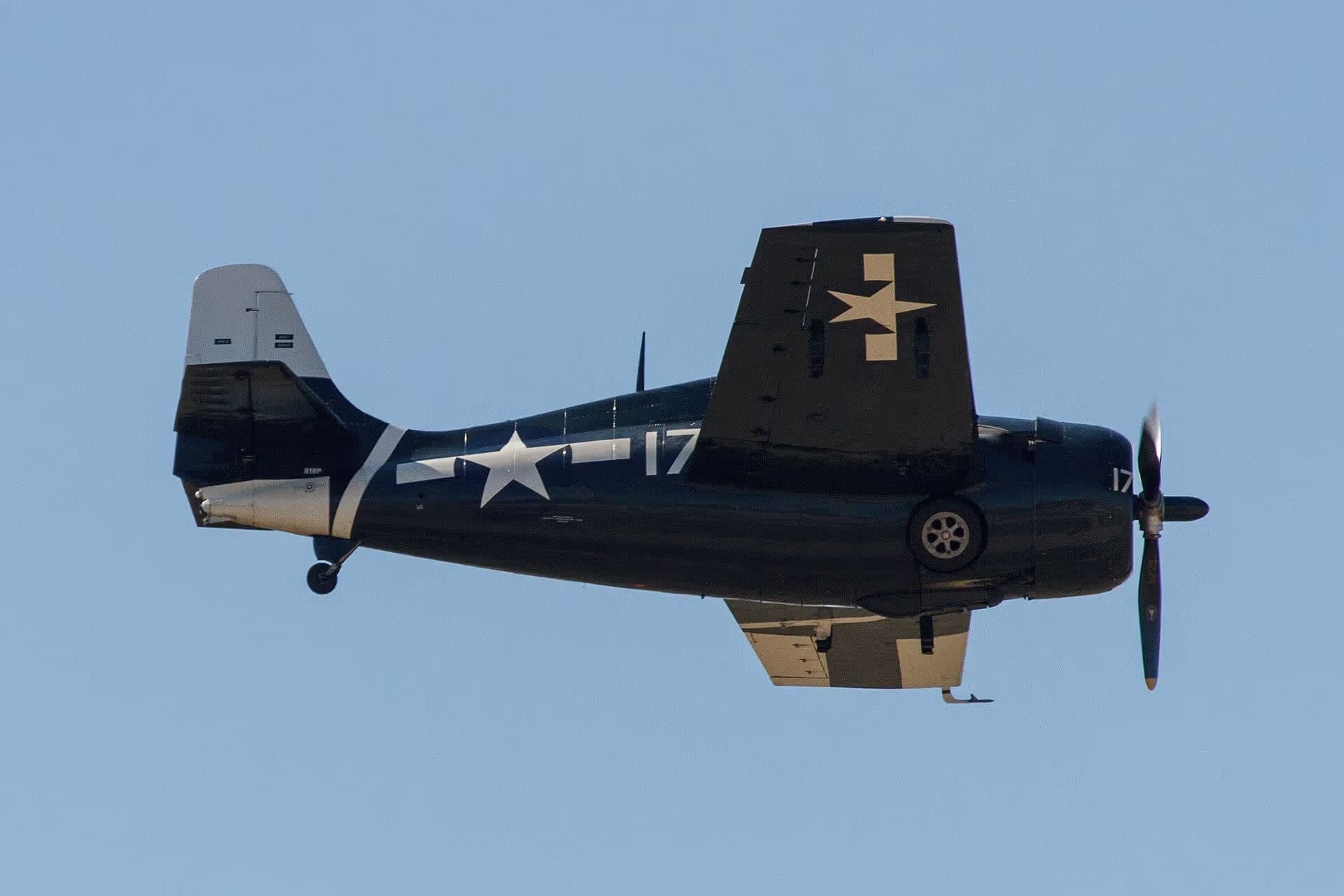 Unidentified — Warbird