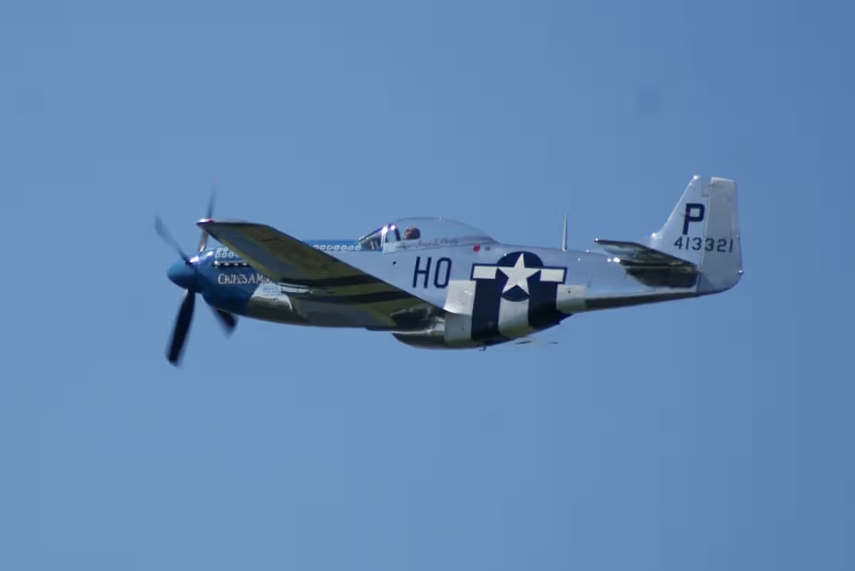 Unidentified — Warbird
