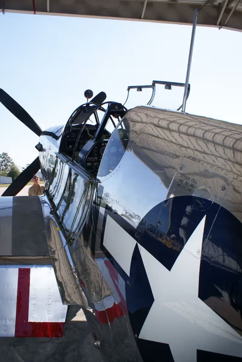 N251MX — Warbird