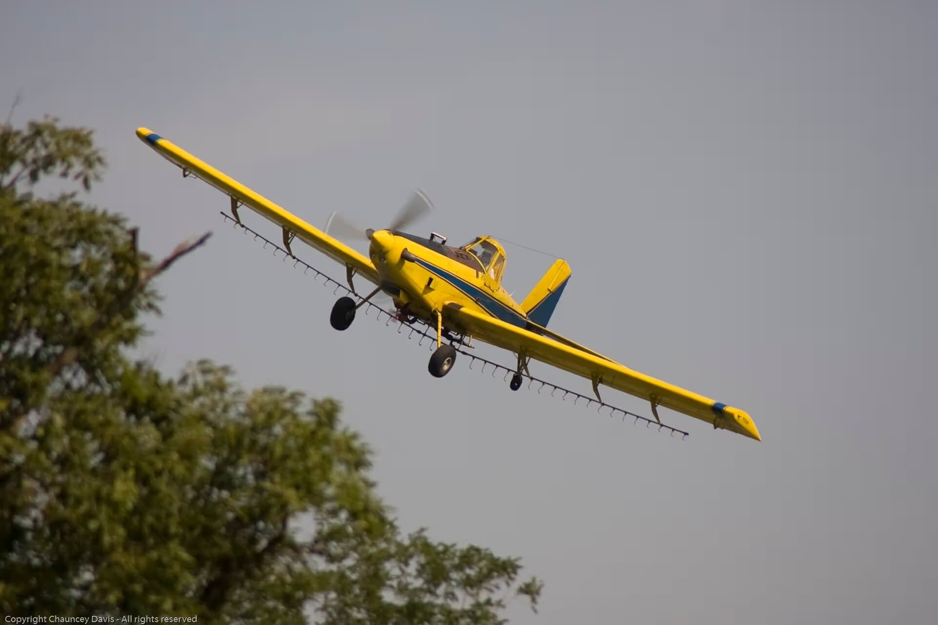 N1531G — Single-engine aircraft