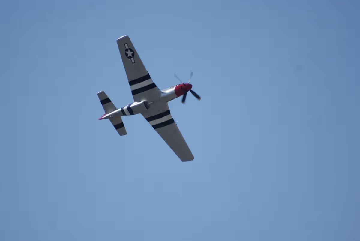 Unidentified — Warbird