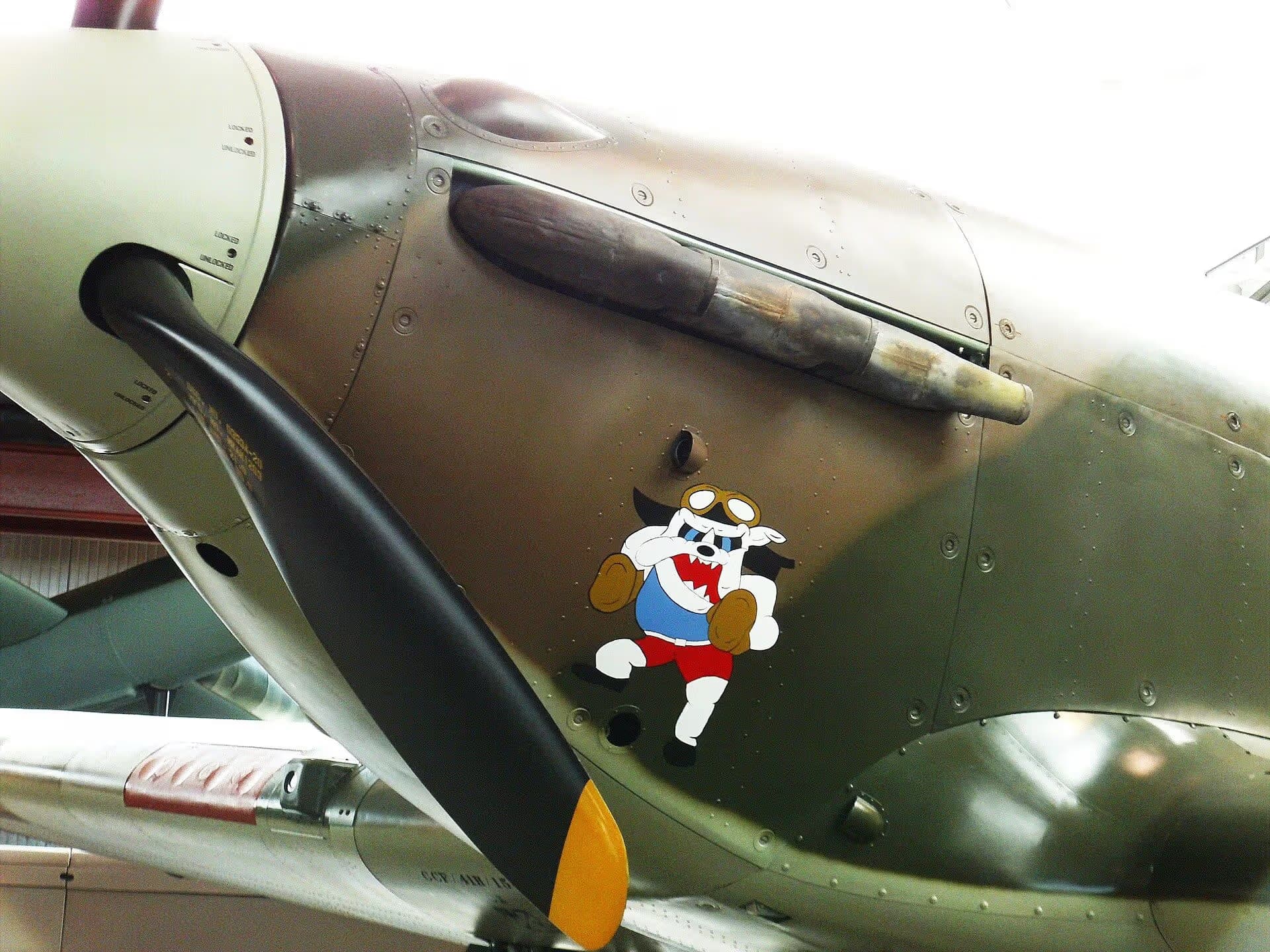 Unidentified — Warbird