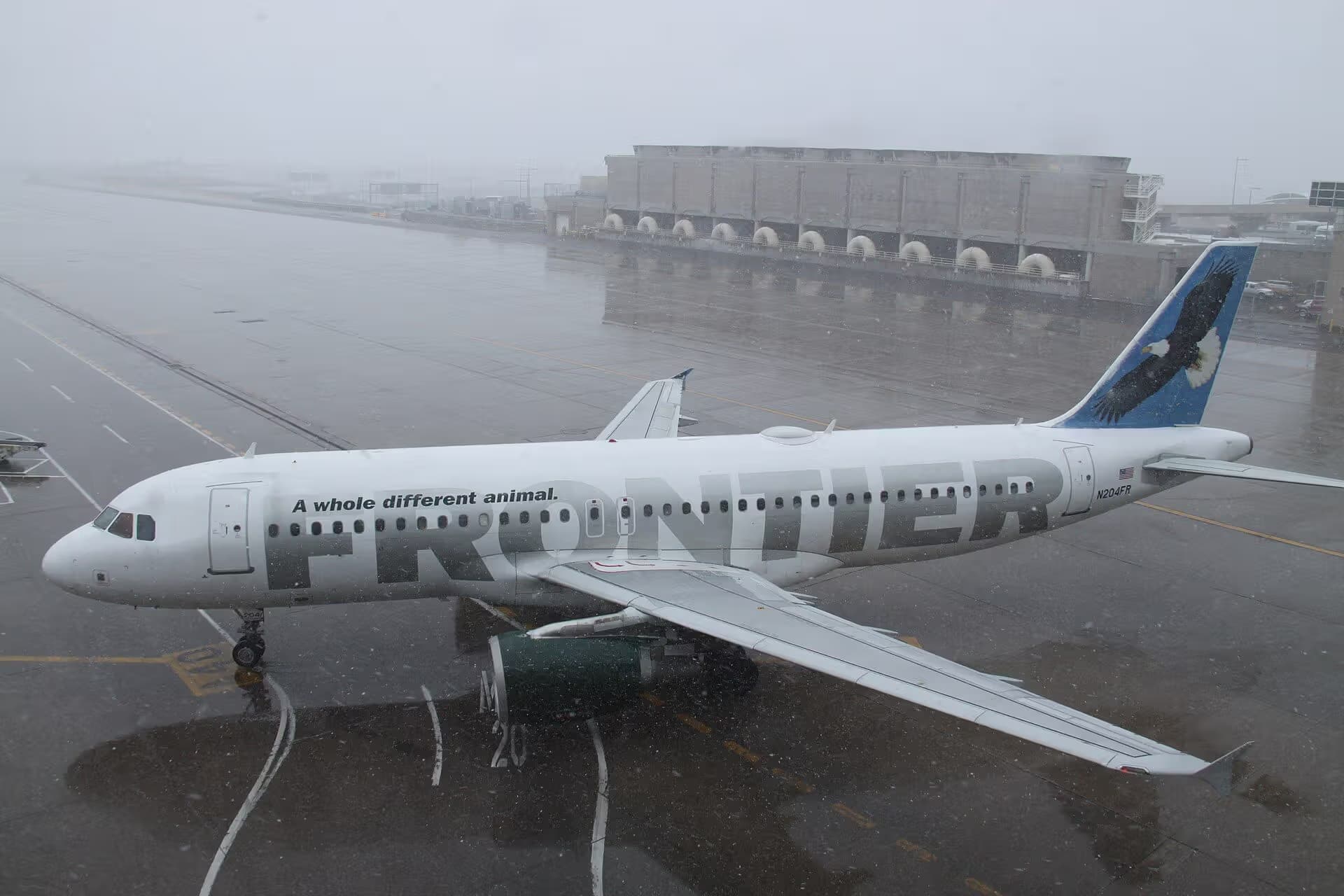 N204FR — Airbus