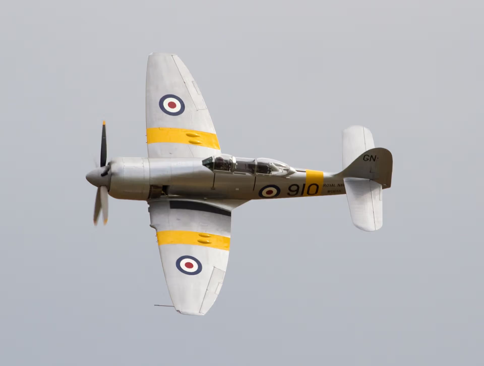 Unidentified — Warbird