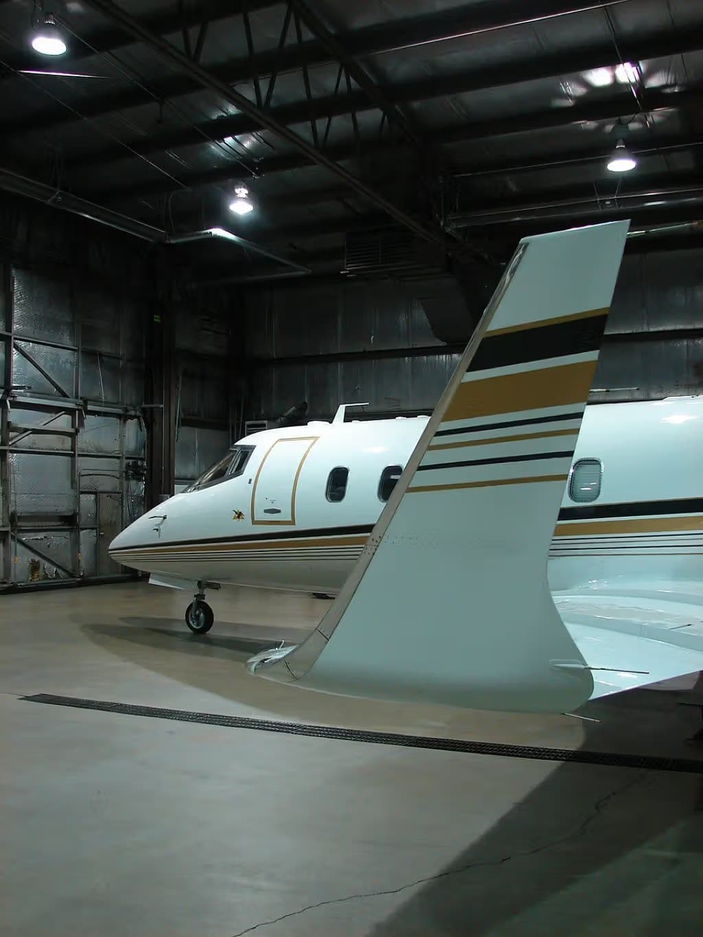 N335AF — Business jet