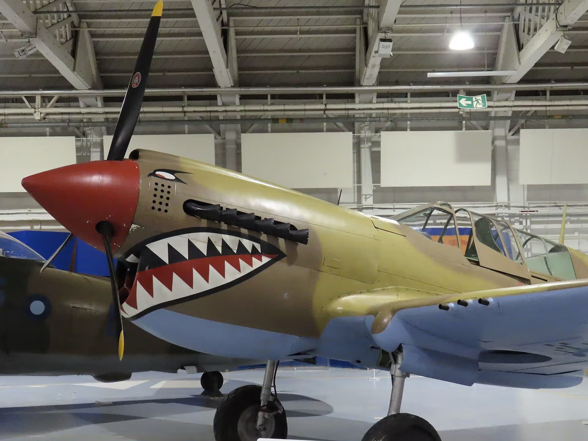 Unidentified — Warbird