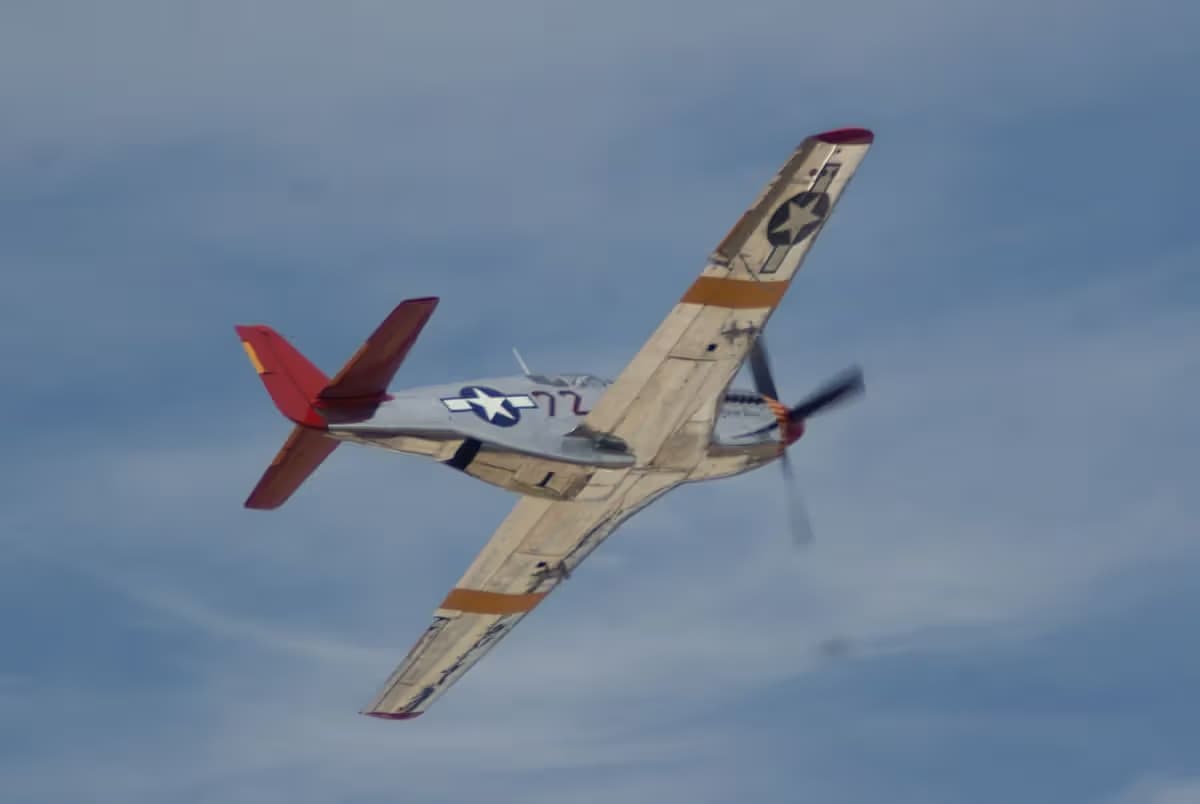 Unidentified — Warbird