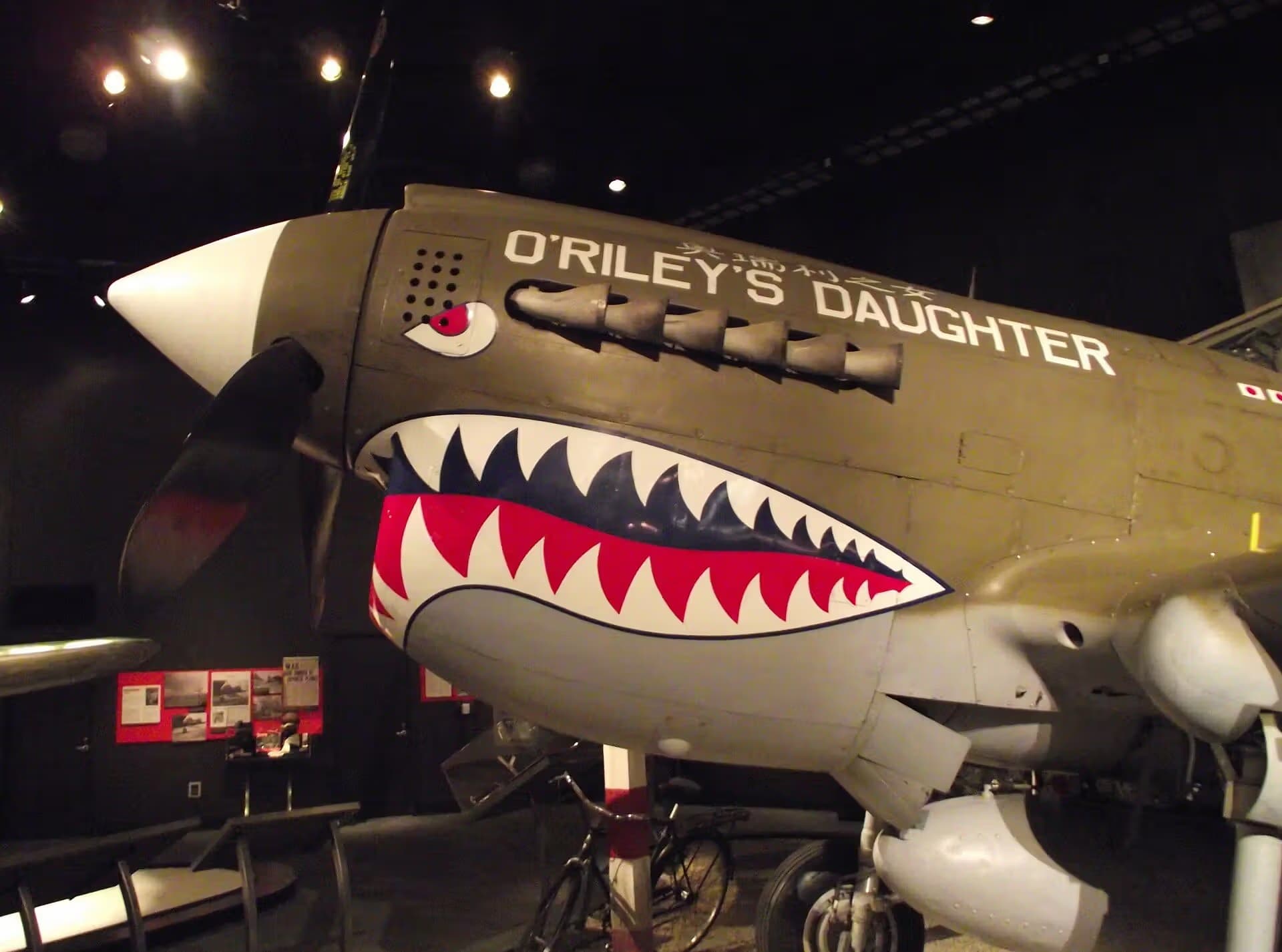 Unidentified — Warbird