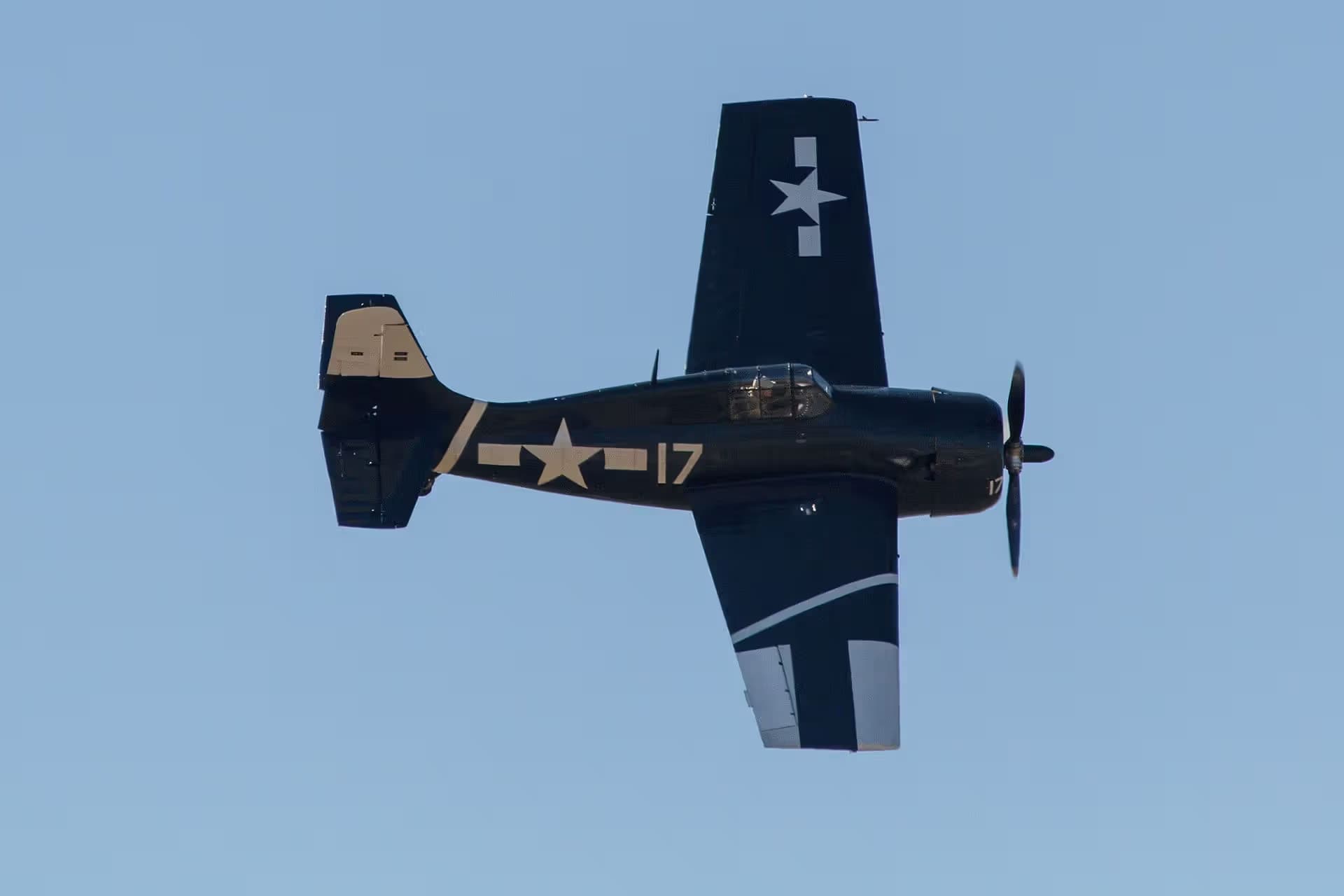 Unidentified — Warbird