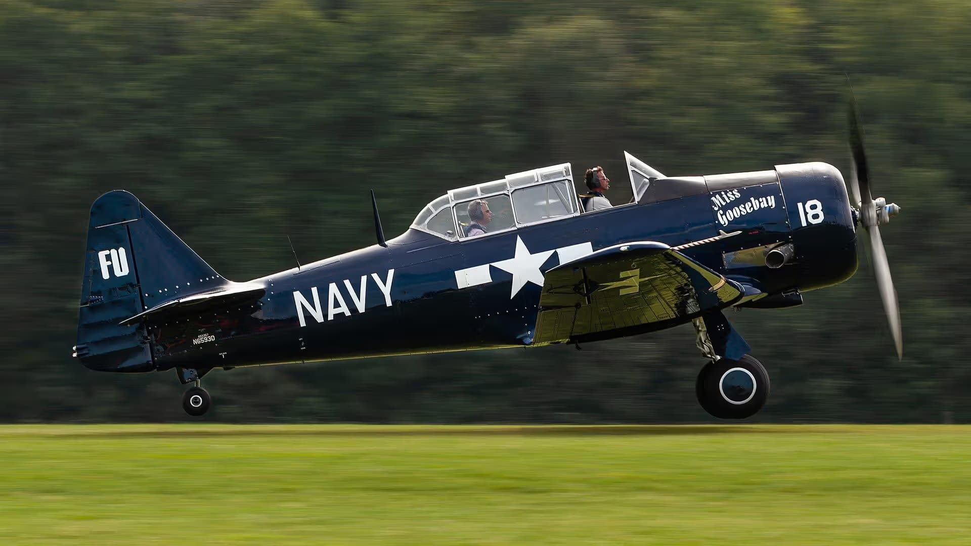 N6593D — Warbird