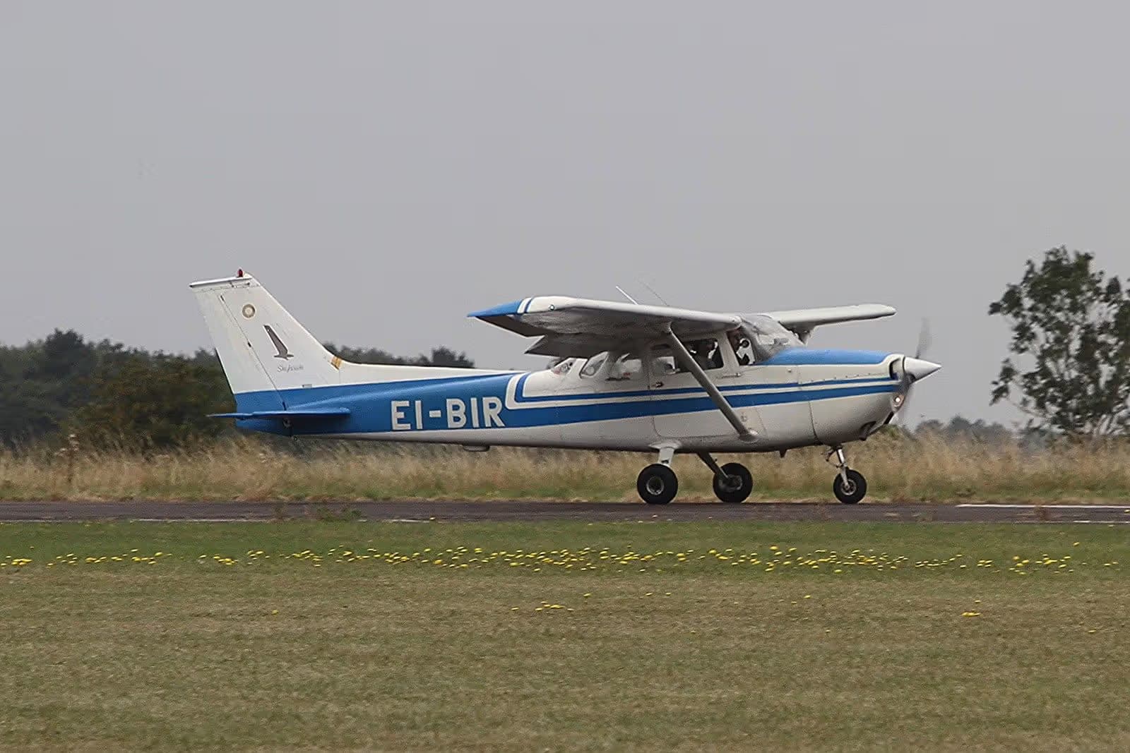 EI-BIR — Single-engine aircraft