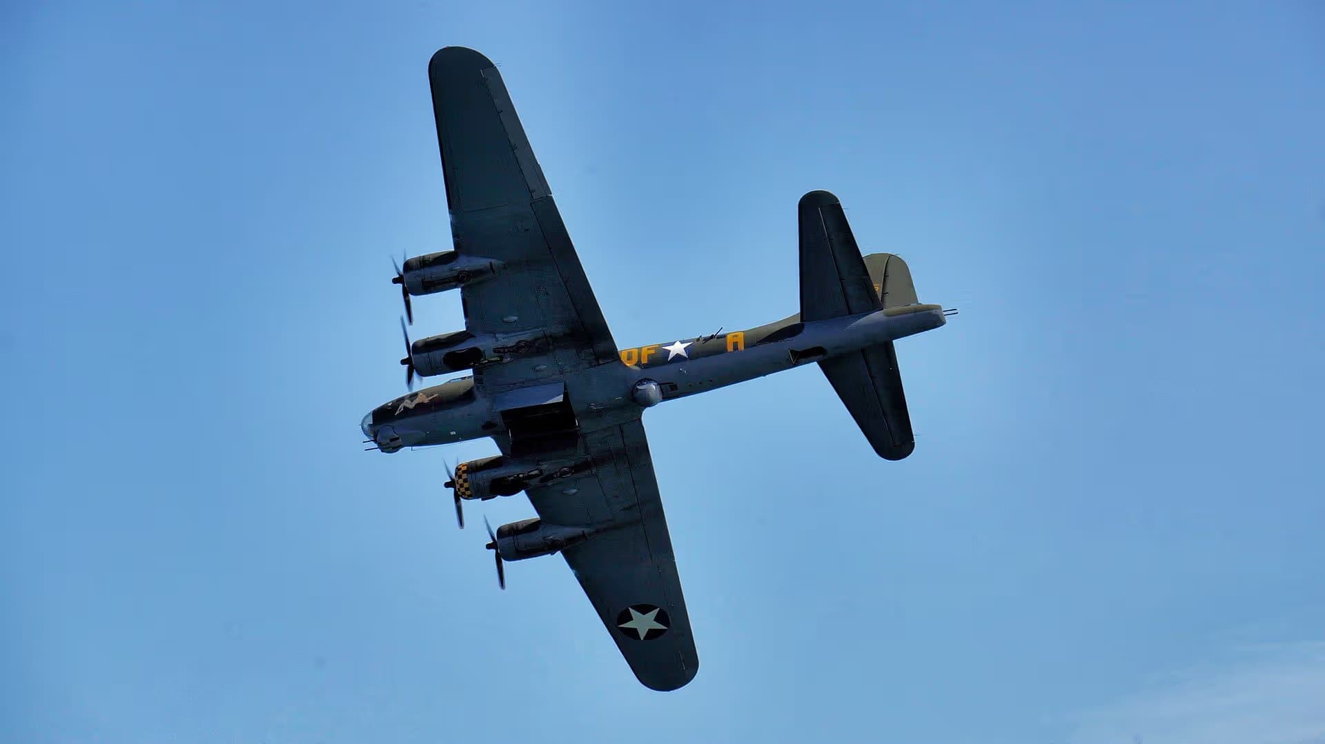 Unidentified — Warbird