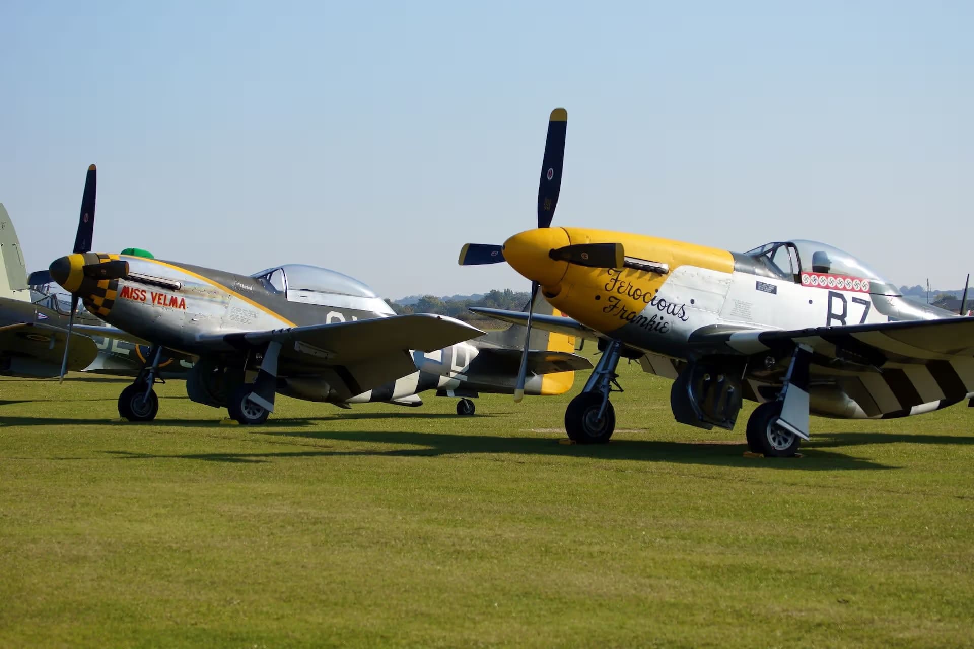 Unidentified — Warbird