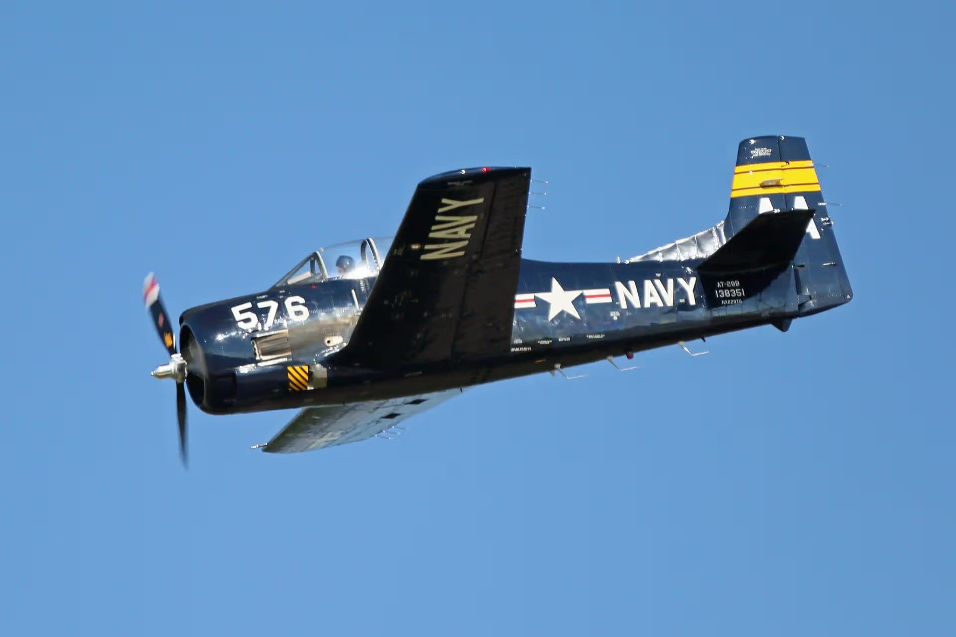 Unidentified — Warbird