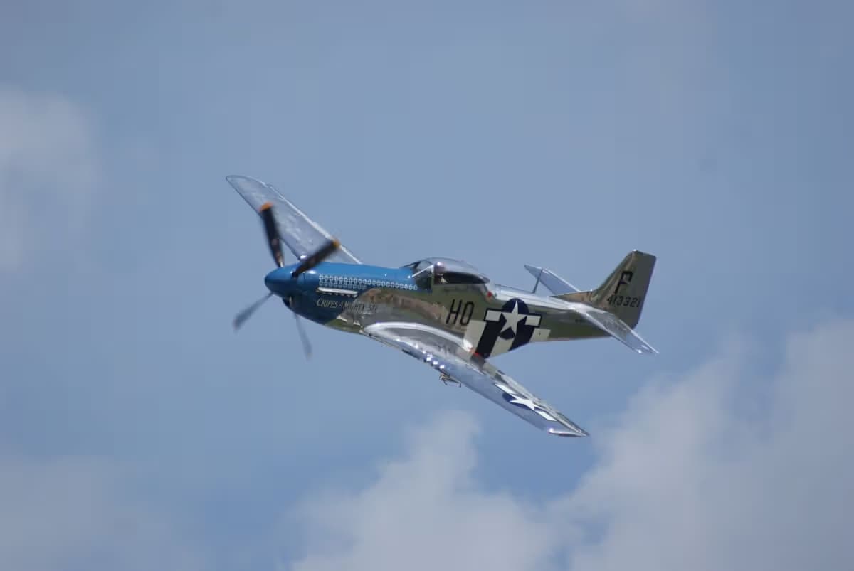 Unidentified — Warbird