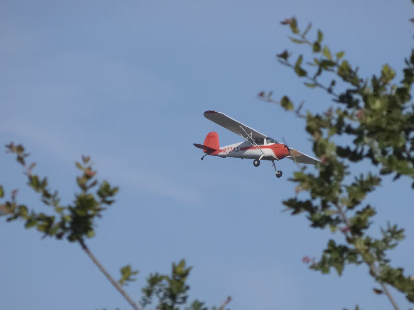 N72431 — Cessna