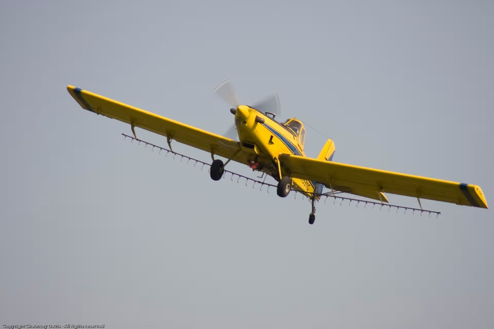 N1531G — Single-engine aircraft