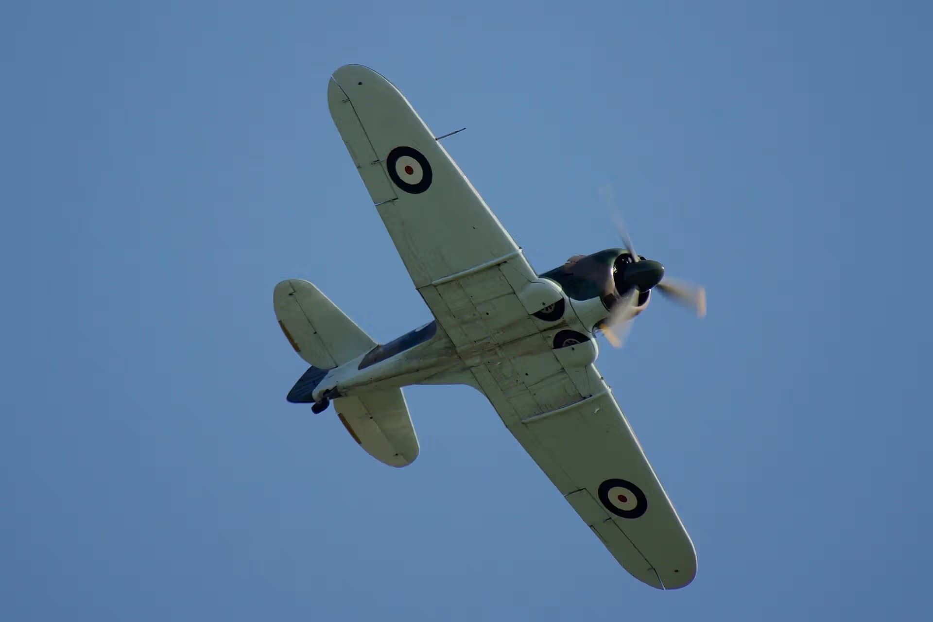 Unidentified — Warbird