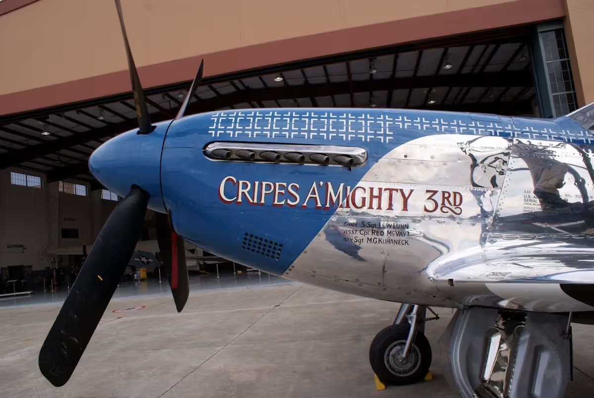 Unidentified — Warbird