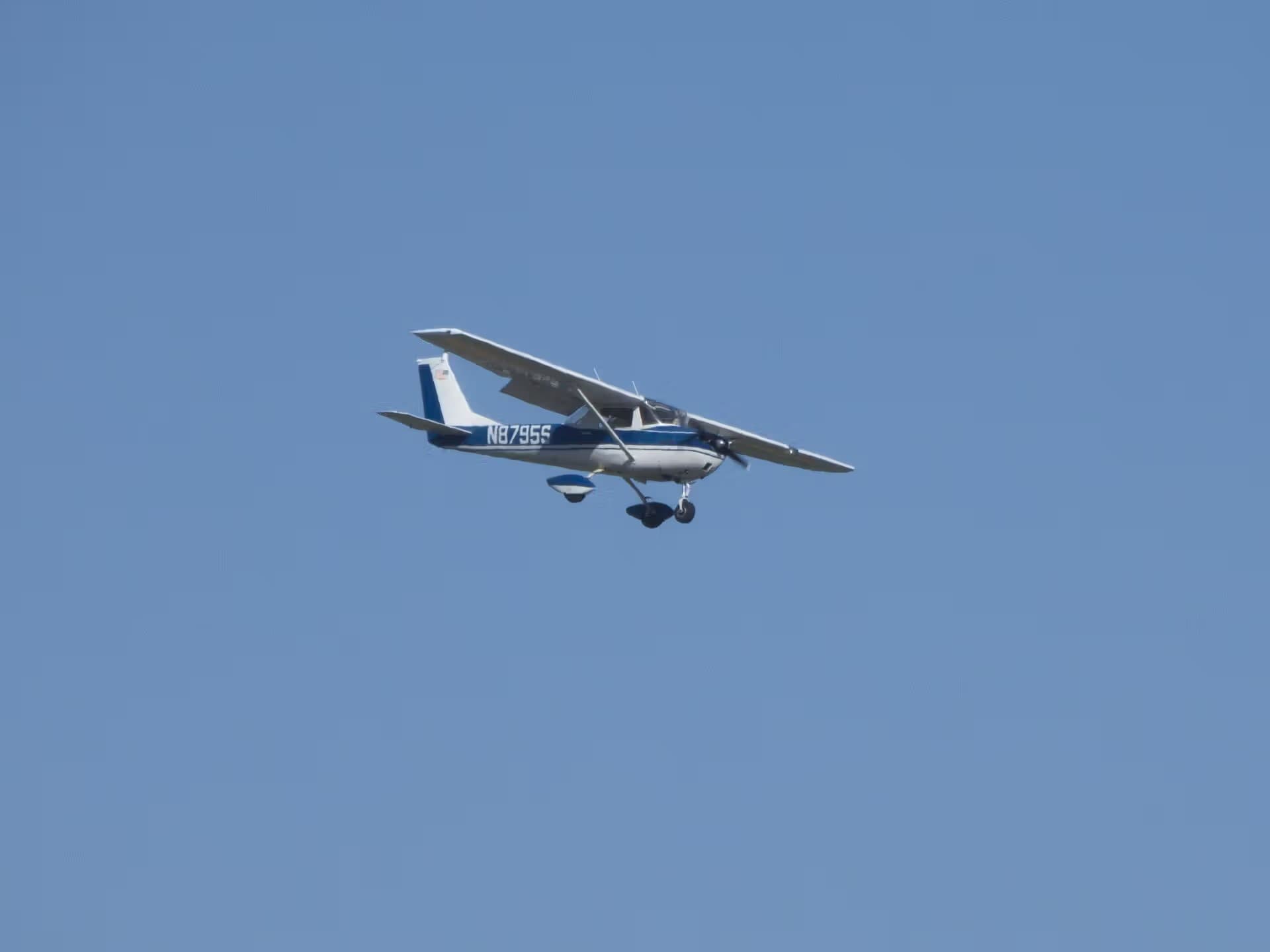 N8795S — Single-engine aircraft