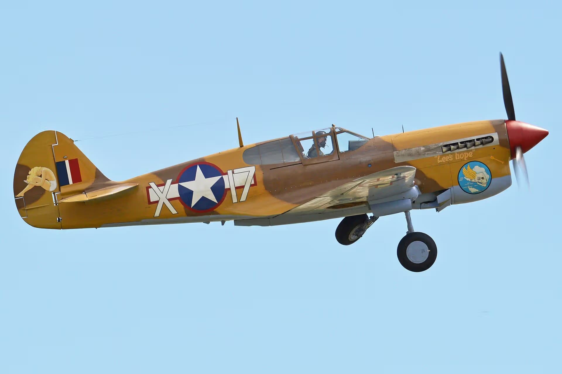 Unidentified — Warbird