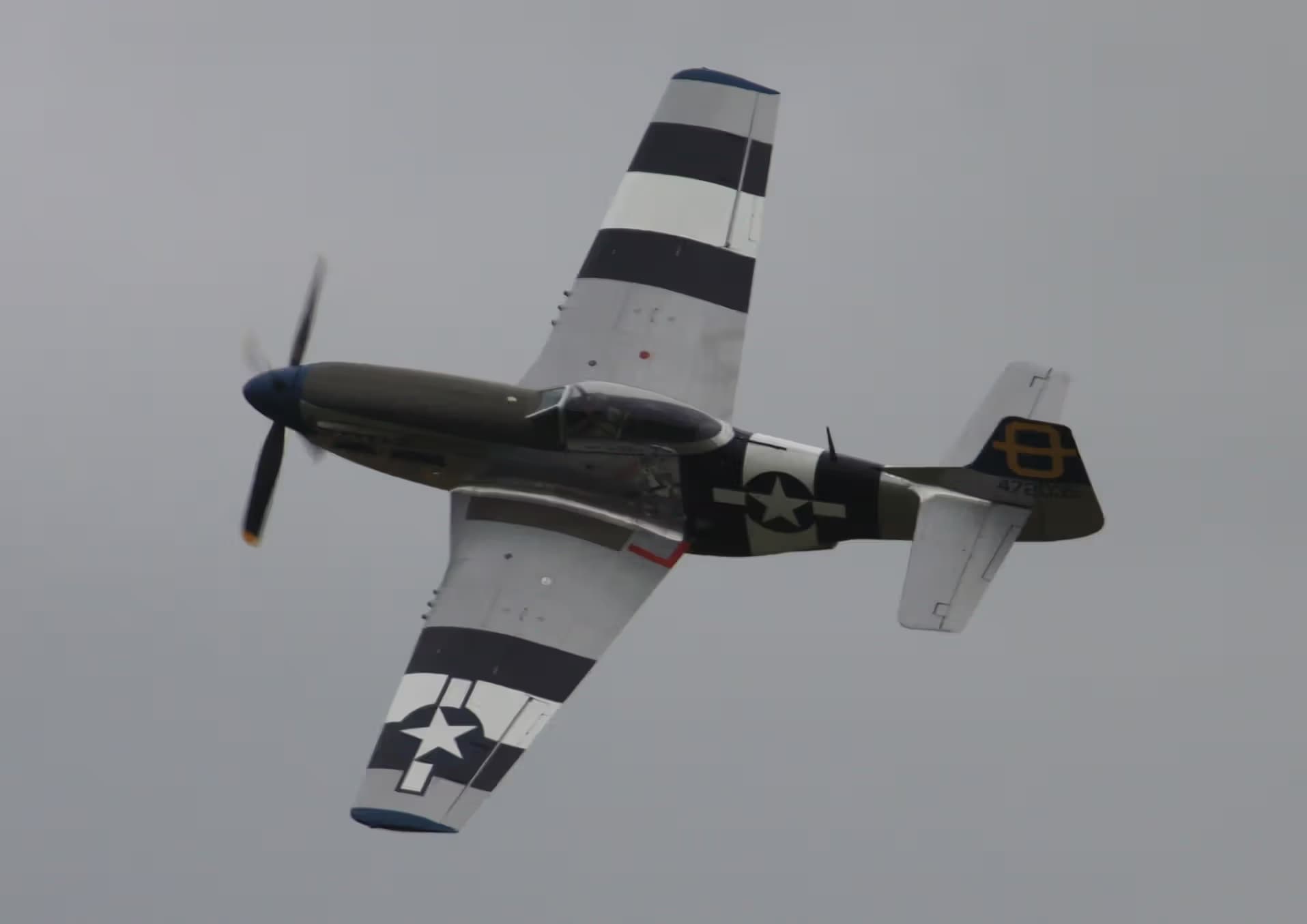 Unidentified — Warbird