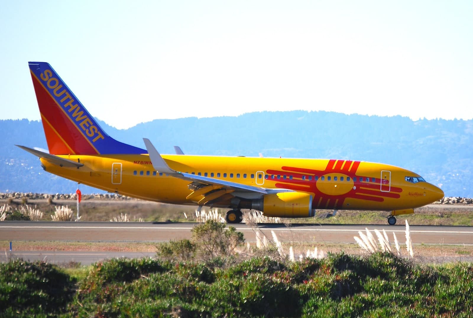 N781WN — Twin-engine aircraft