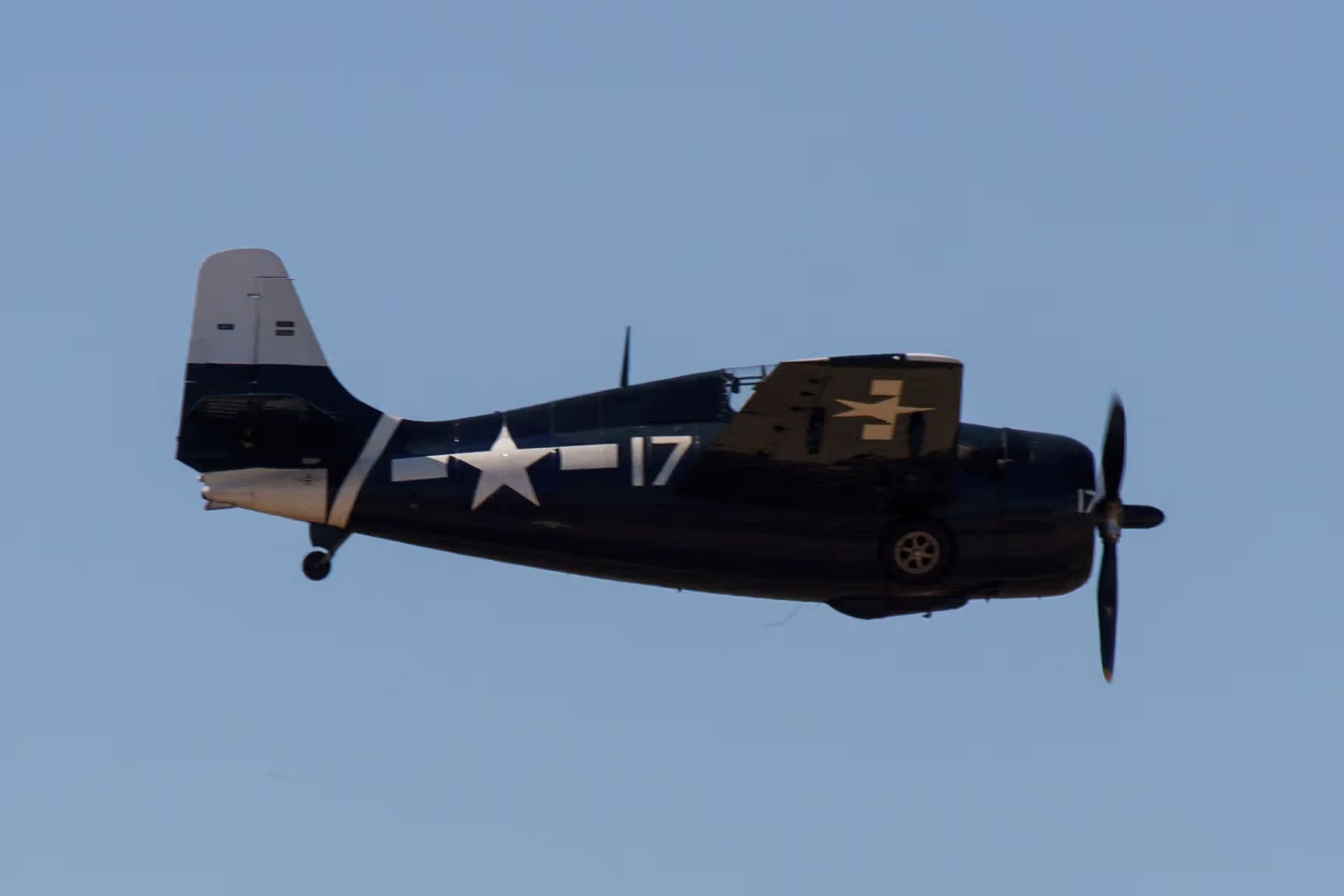 Unidentified — Warbird