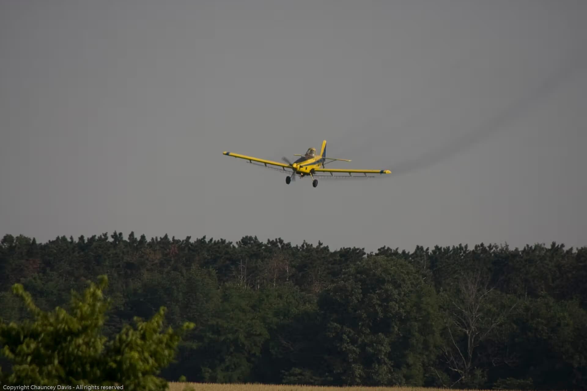 N1531G — Single-engine aircraft