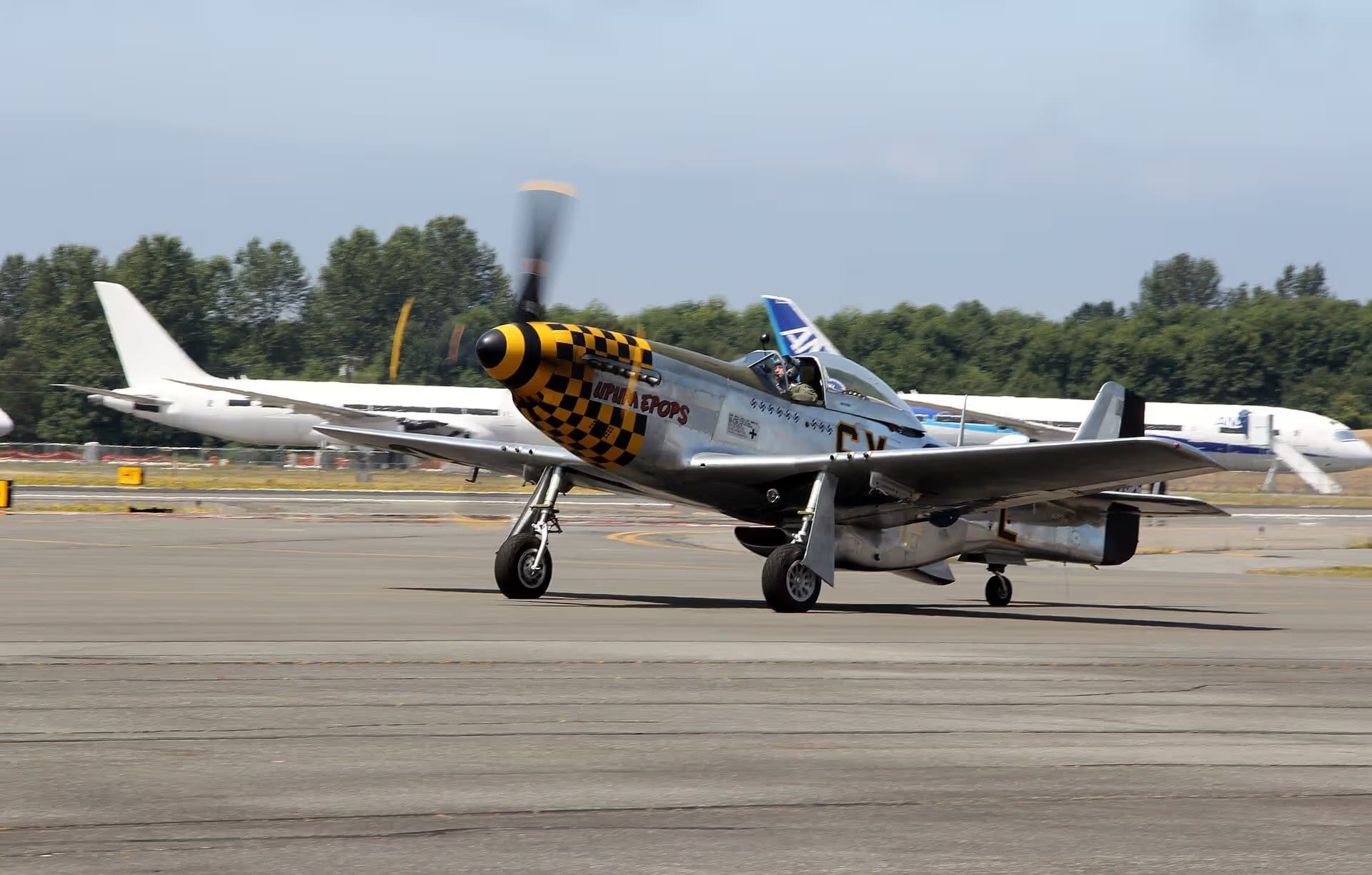 Unidentified — Warbird