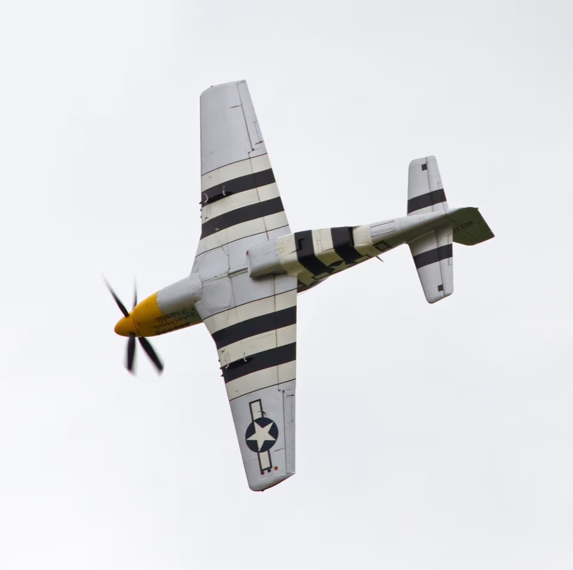 Unidentified — Warbird