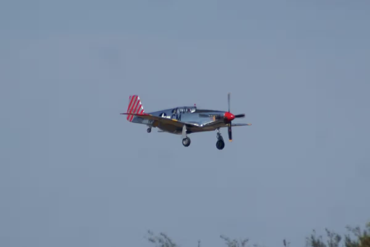 N251MX — Warbird