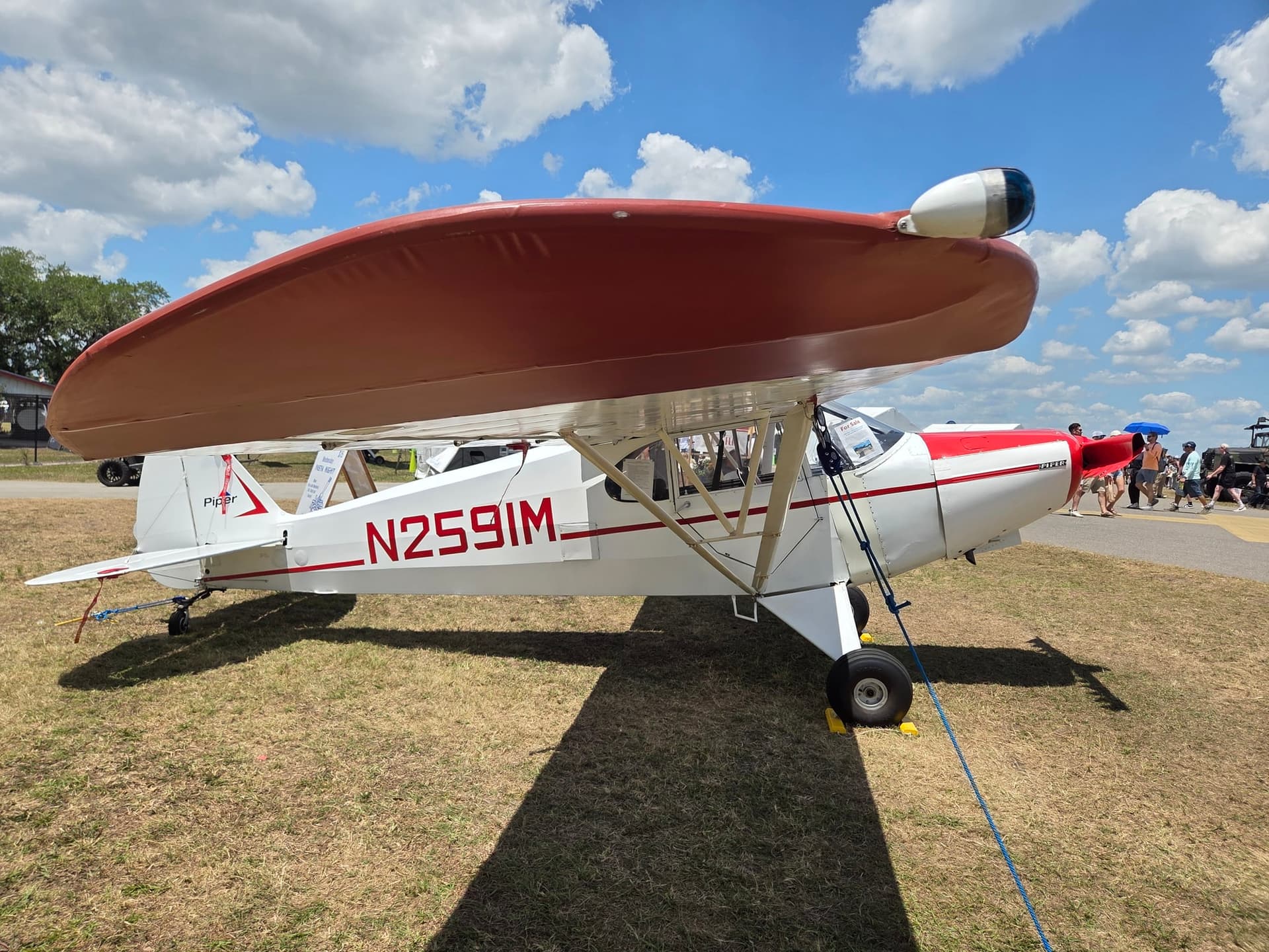N2591M — Piper PA-12 Super Cruiser at Lakeland Linder Intl