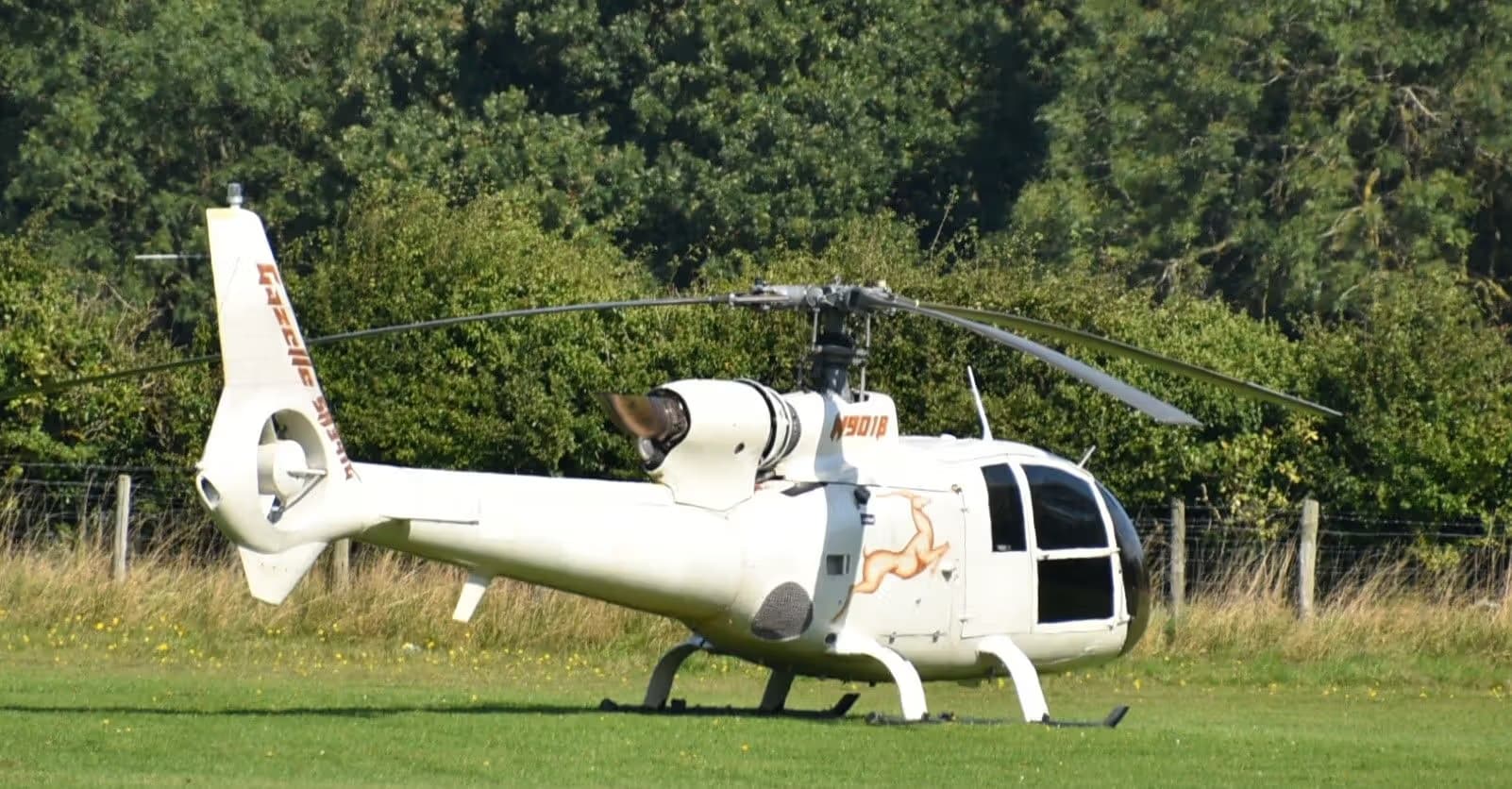 N901B — Helicopter