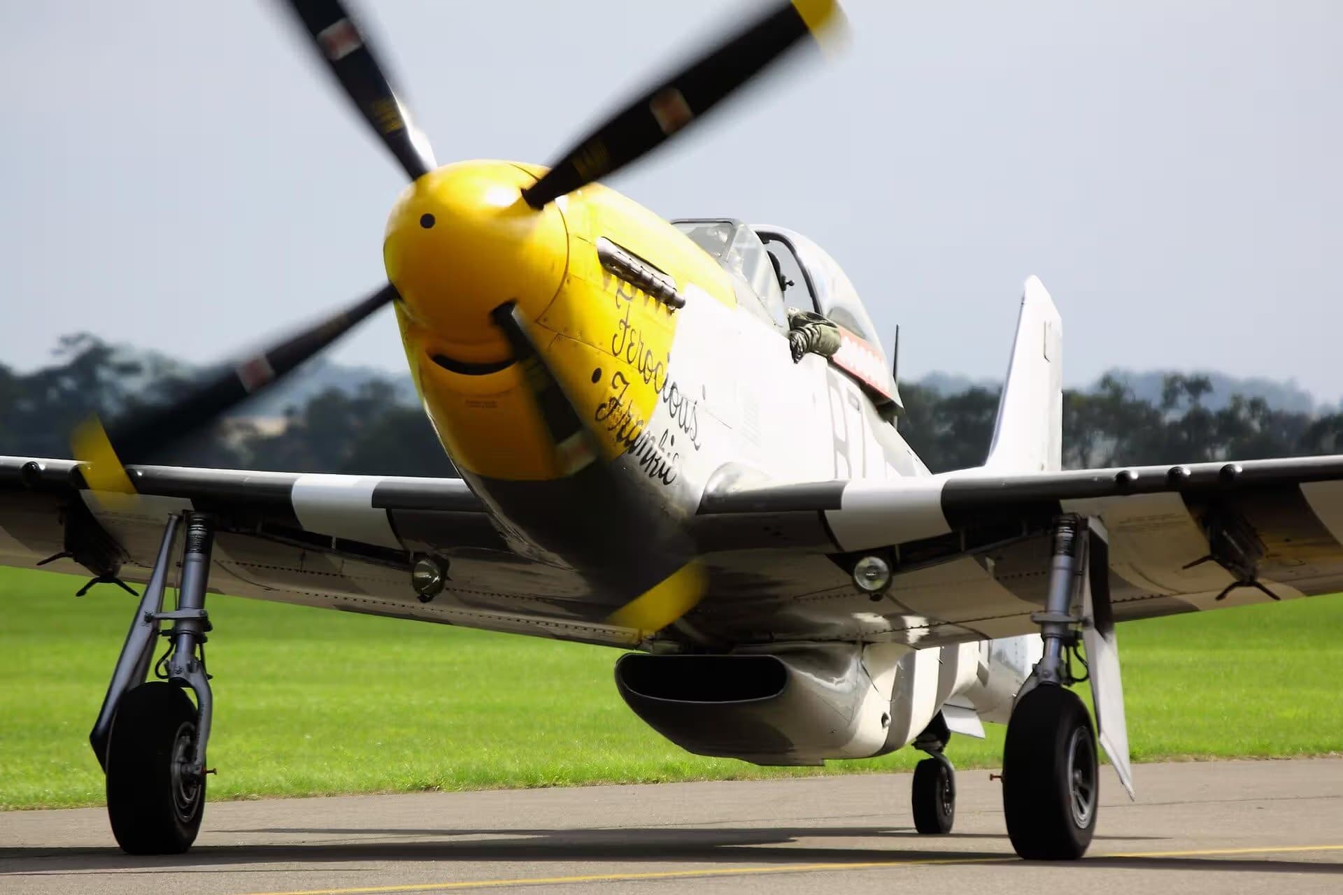 Unidentified — Warbird
