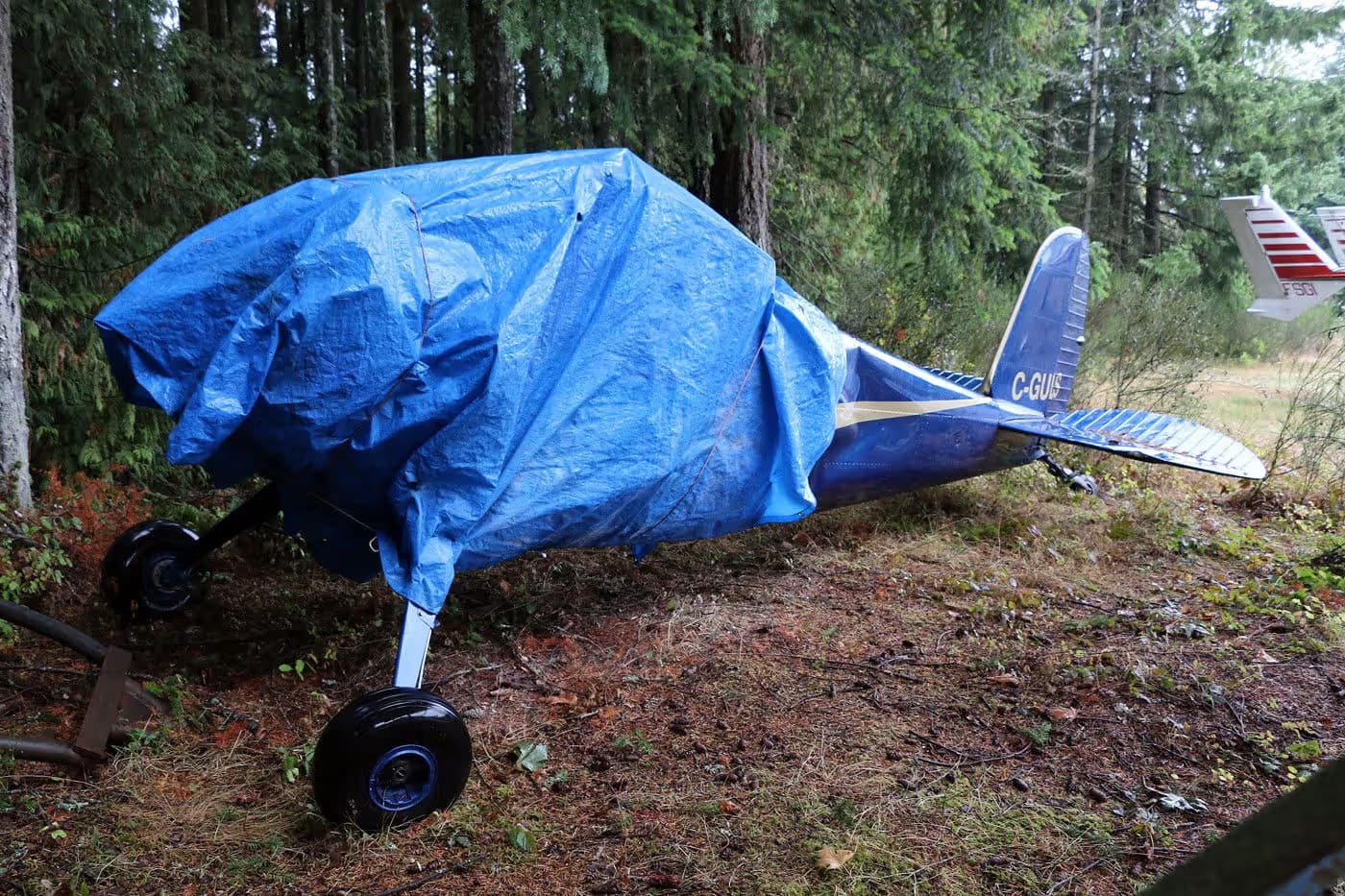 C-GULS — Aircraft
