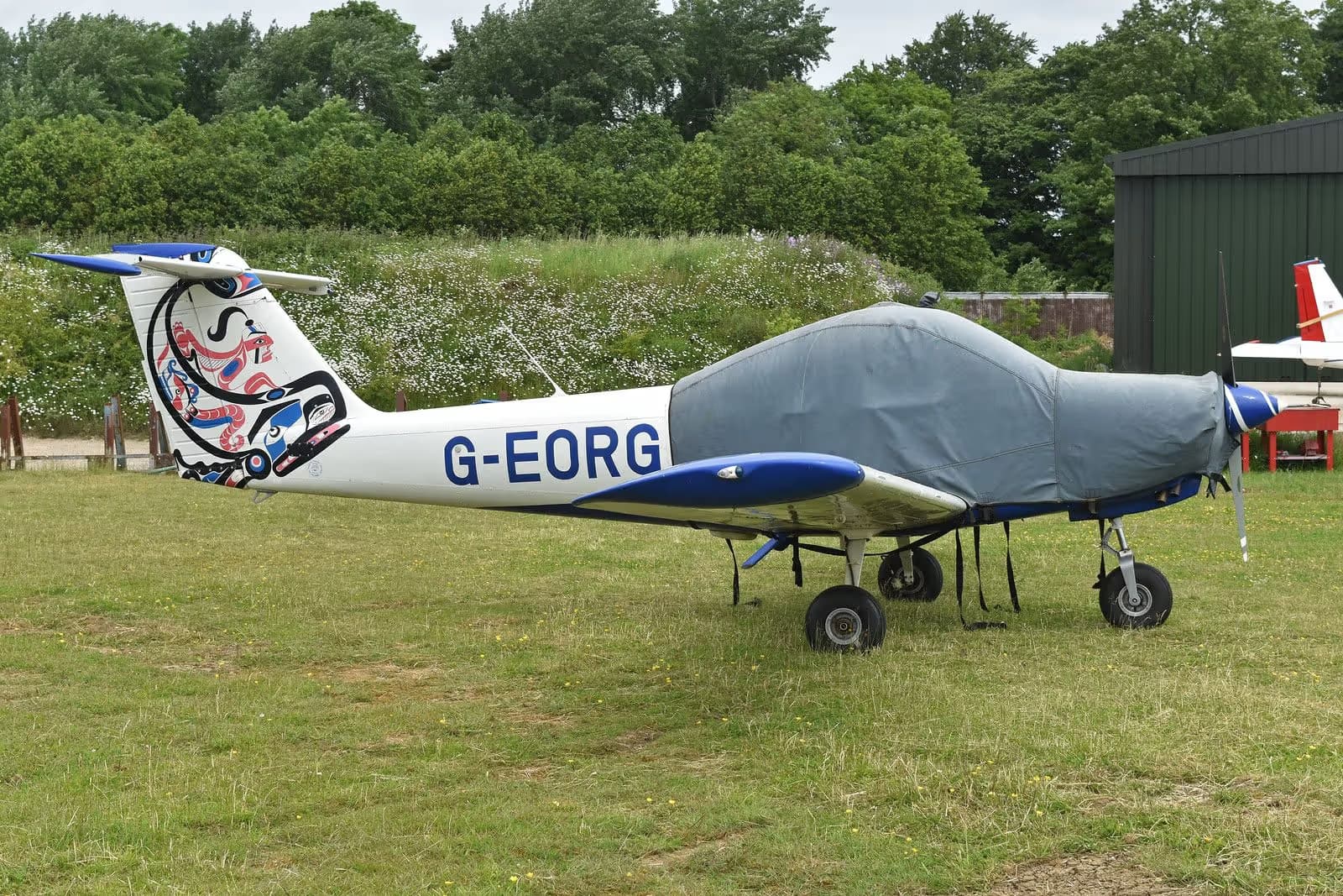 G-EORG — Piper