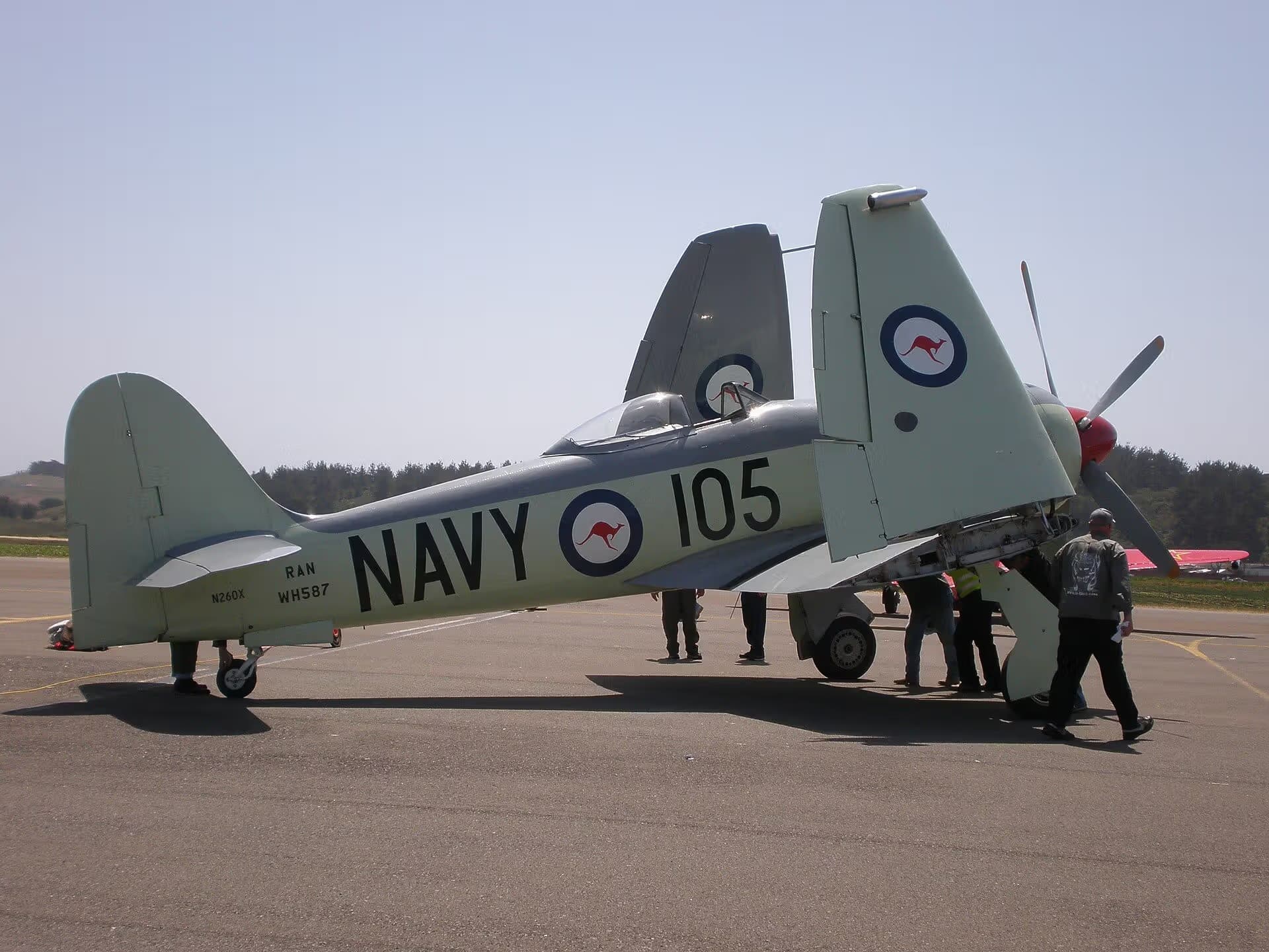 Unidentified — Warbird