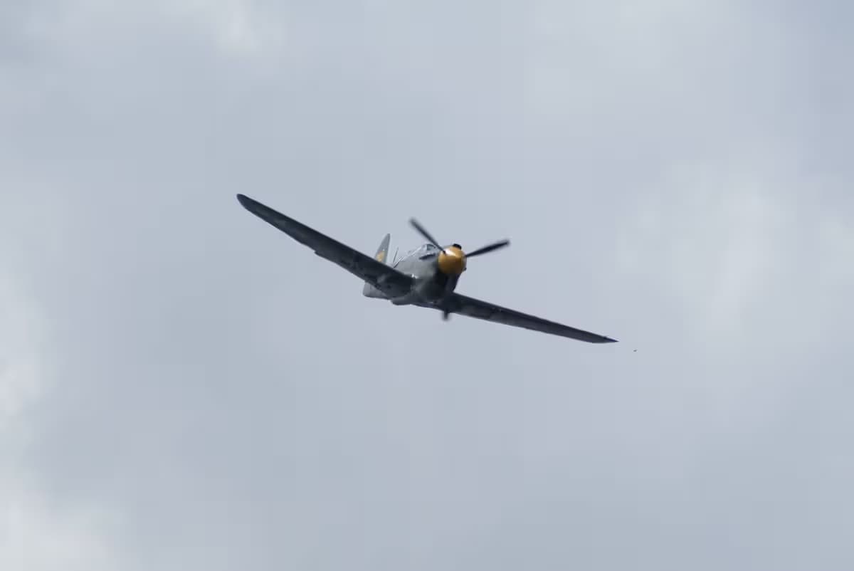 Unidentified — Warbird