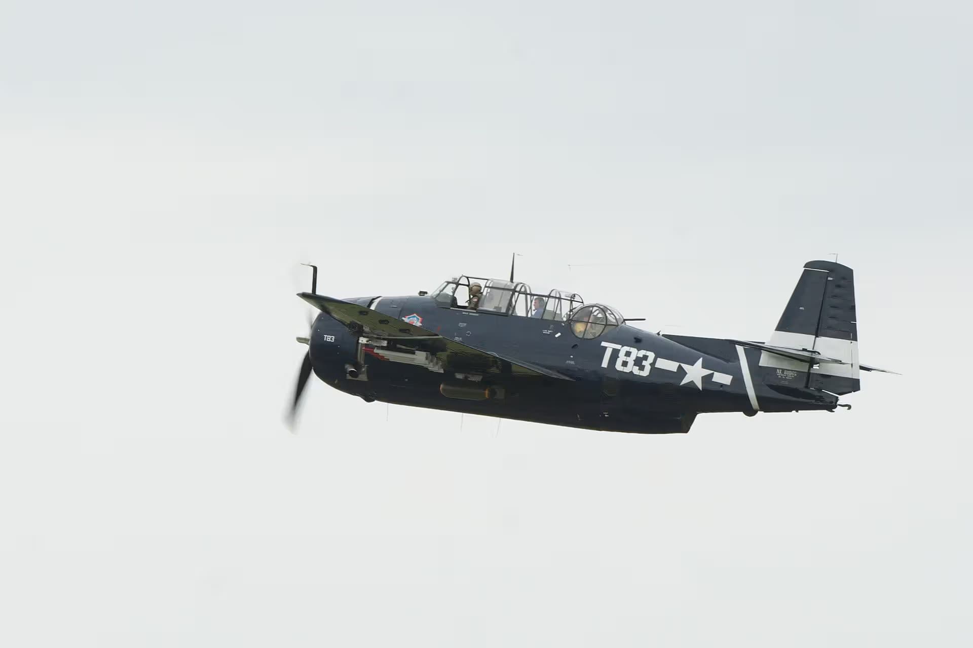 N81865 — Warbird