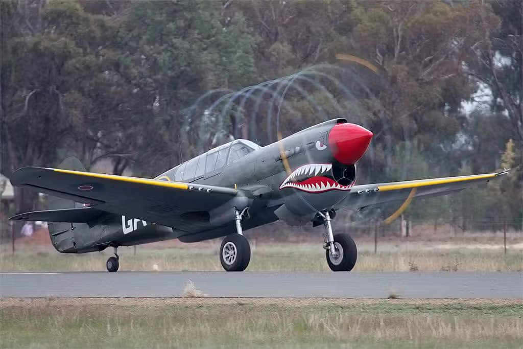 Unidentified — Warbird