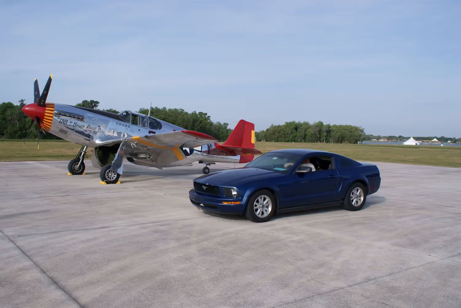 Unidentified — Warbird