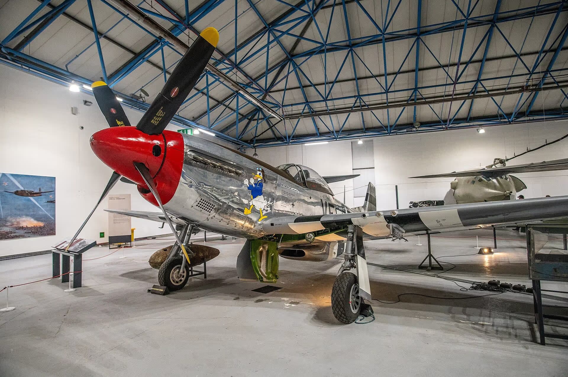 Unidentified — Warbird
