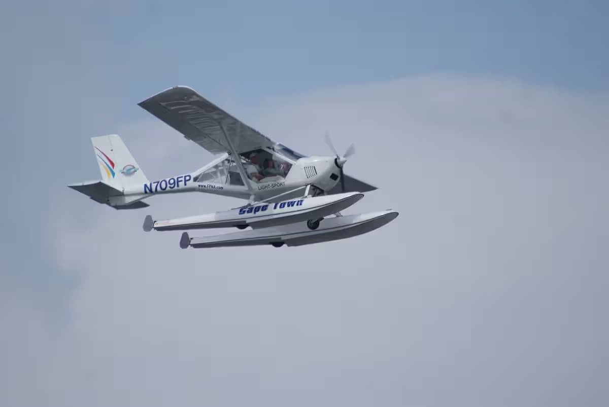 N709FP — Single-engine aircraft
