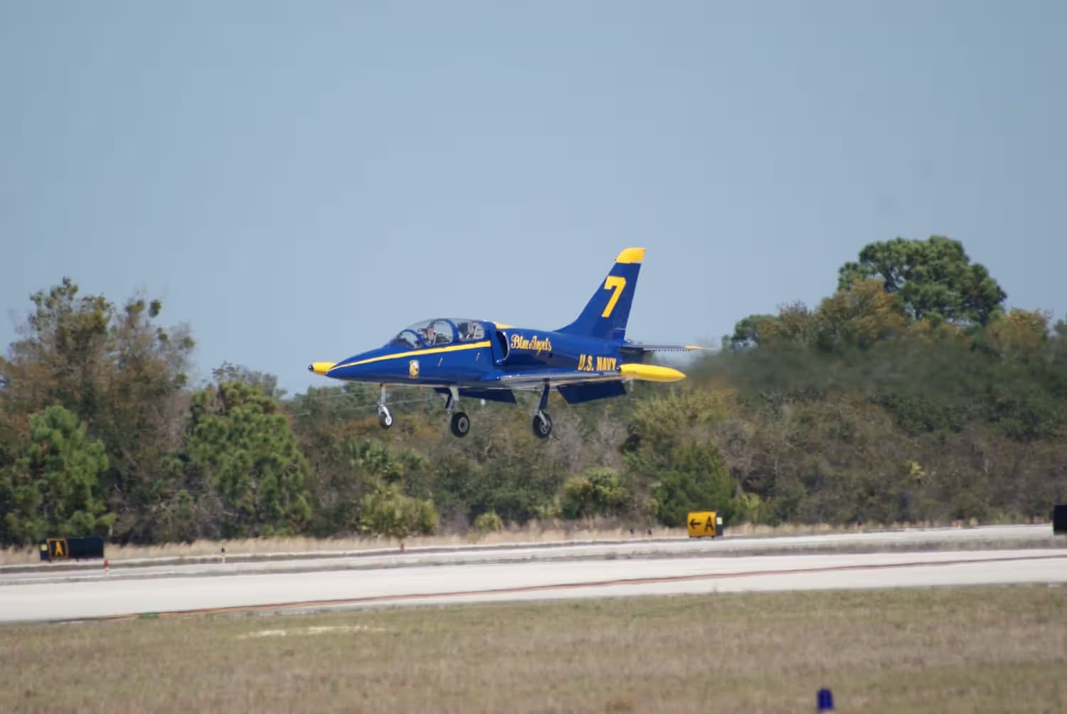 N139PJ — Single-engine aircraft