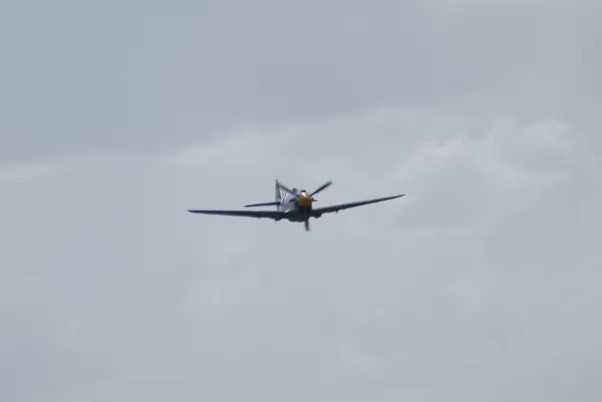 Unidentified — Warbird