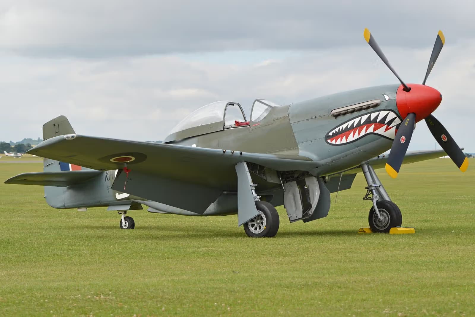 G-SHWN — Warbird